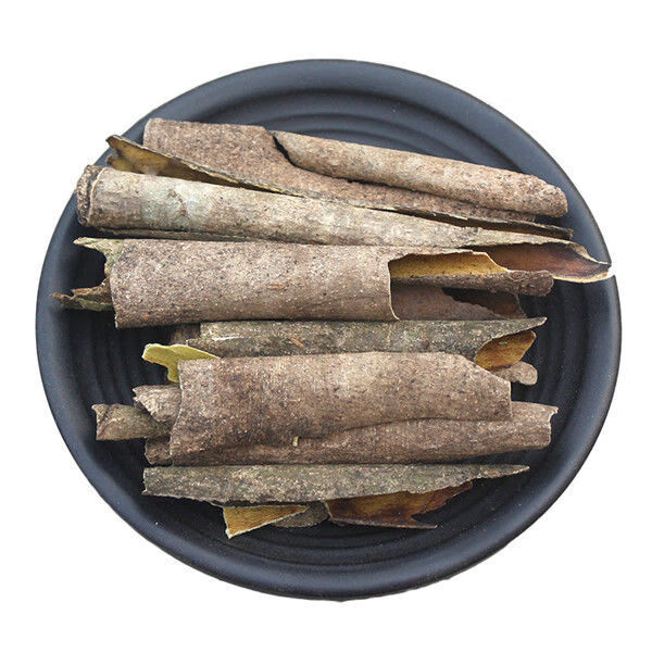 有仁堂广西新品深山中药材救必应博皮龙胆木皮精选自然树皮自晒年货