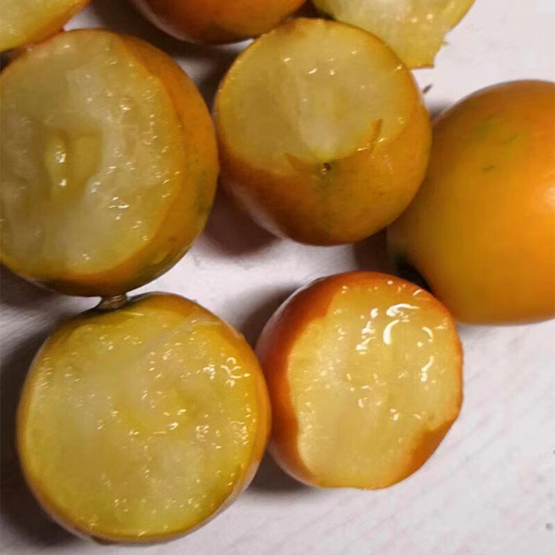 适用于现货泰国蜜蛋甜金桔礼盒装4斤脆甜小金桔新鲜孕妇水果滑皮金桔2