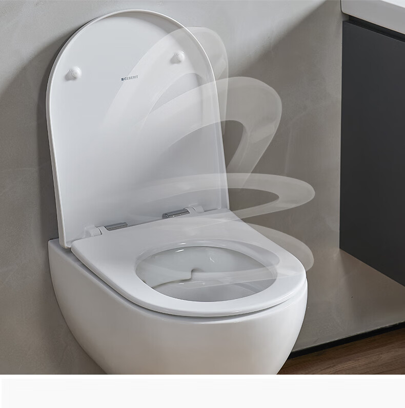 九牧王捡漏geberit吉博力无边艾珈壁挂式进口马桶入墙式卫生间墙排坐