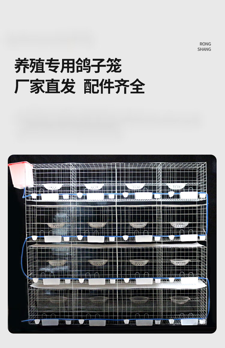 顺丰加粗鸽子笼养殖笼大号12位肉鸽笼子家用专用组装笼全套.