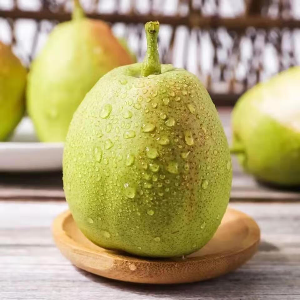 雪域恩泽新疆红香酥梨子1053斤脆甜薄皮多汁新鲜现摘水果3斤小果试吃