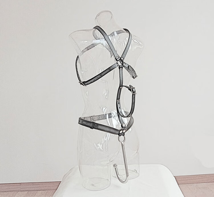 肛勾肛门钩后庭肛钩sm连体女用男用不锈钢肛勾项圈肛门情趣菊花b款