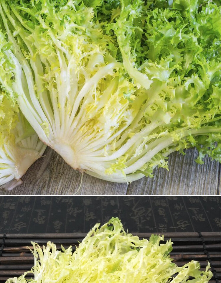 细叶生菜蔬菜耐热耐寒阳台四季盆栽 黄心苦菊5克原装约2000粒【图片