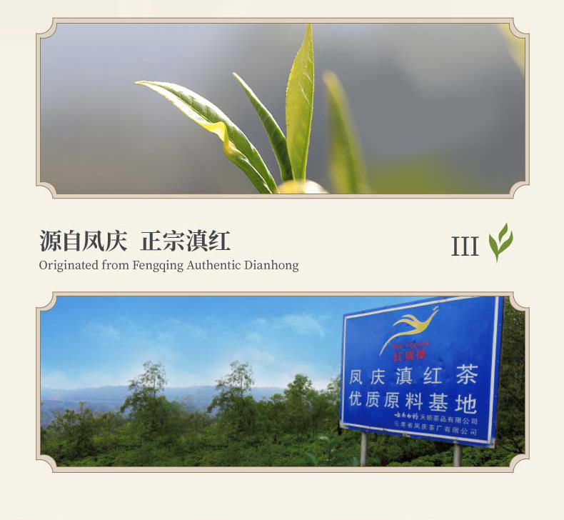 5折云南白药红瑞徕创典1939正宗古树凤庆滇红茶浓香型养胃红茶叶400g
