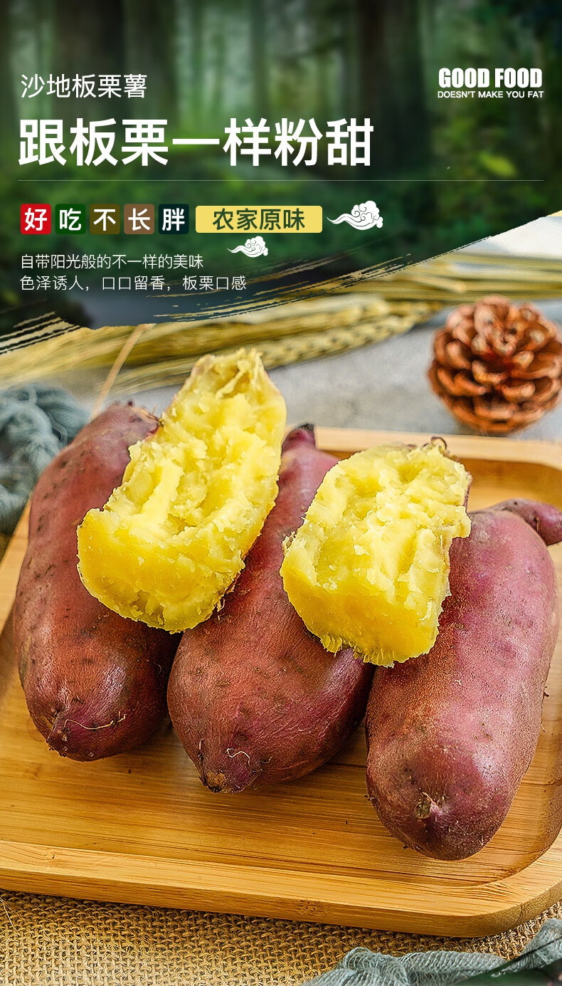 海南薯的品种图片