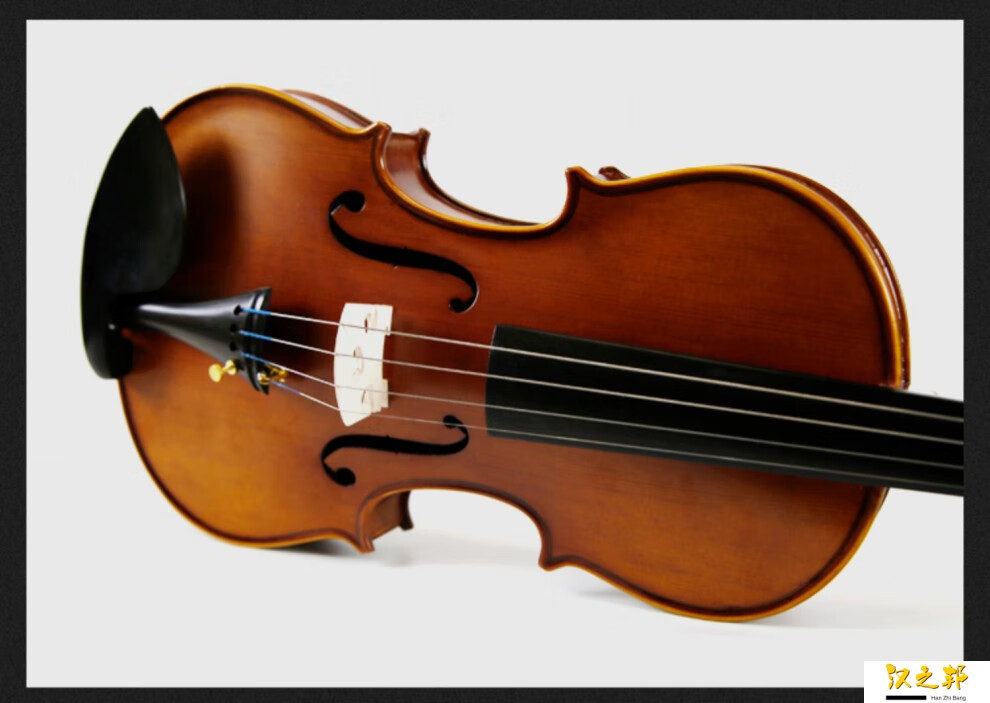 suzuki铃木小提琴专业级初学者儿童实木学生用入门乐器violin 1/ 8小