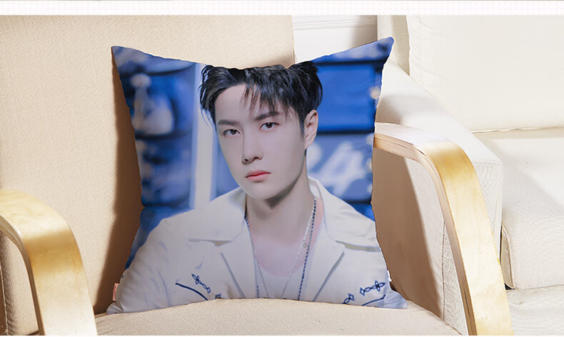 王一博q版抱枕双面定制周边同款玩偶床头靠垫睡觉人形靠枕头礼物06