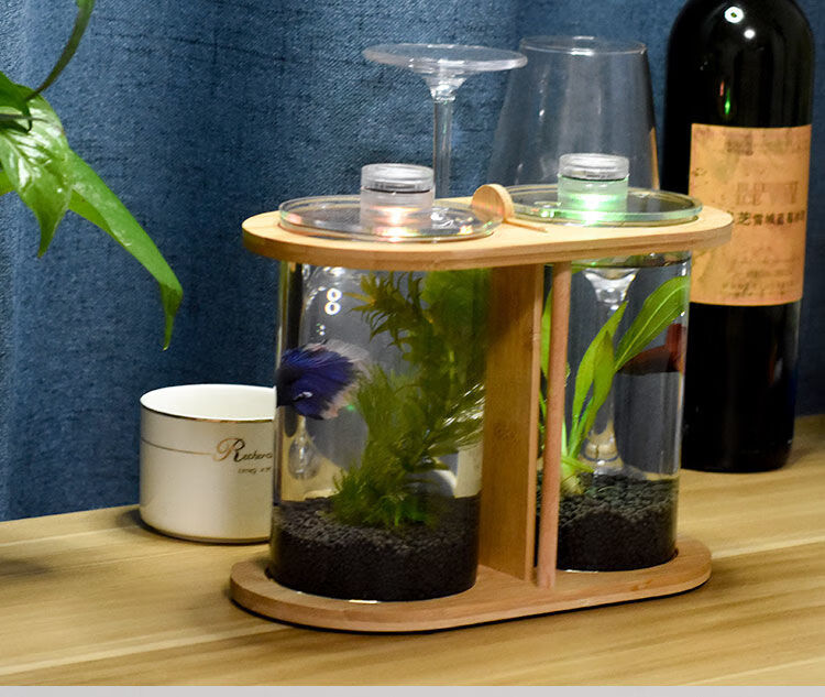 生态斗鱼缸双缸迷你创意小型隔离生态鱼缸斗鱼免换水微景观生态瓶空缸