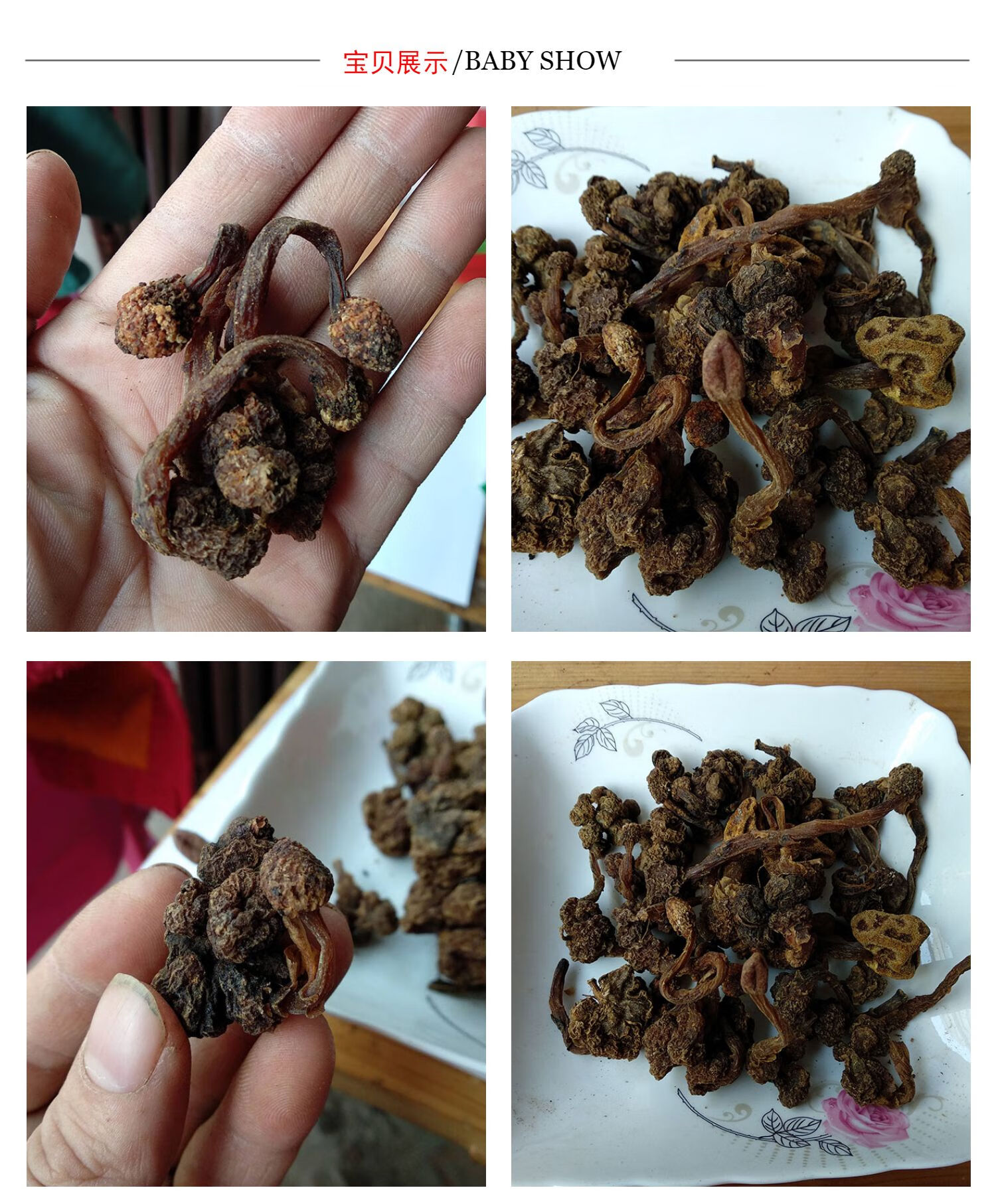 仕联小号正宗深山不出头中药材葛菌丛蓉中草药葛藤菌地重楼石上莲独角