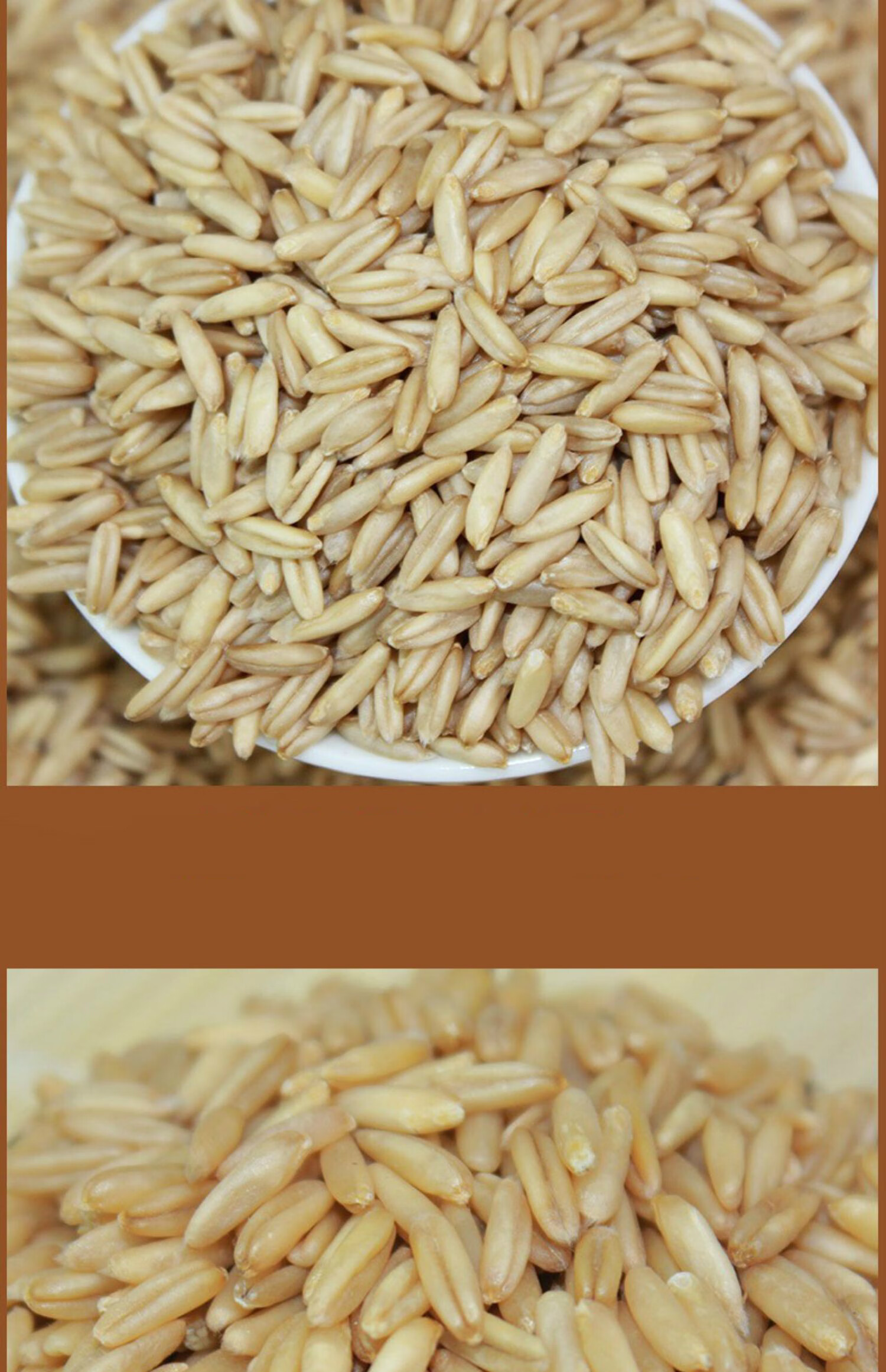 内蒙古高原裸燕麦米有机燕麦香米仁五谷杂粮莜麦米25kg
