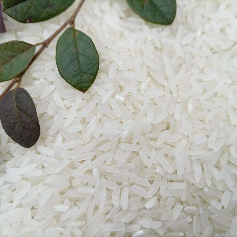 新碾农家新大米25kg泰香米长粒丝苗杂交米50斤煲仔饭健康便宜好 25kg