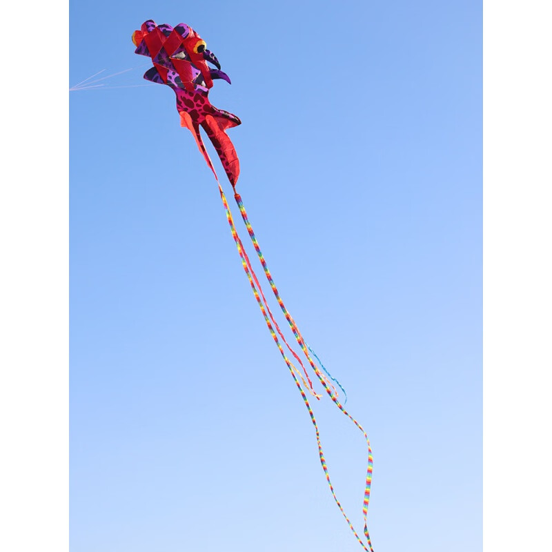 适用于定制3d无骨风筝大金鱼大人大型立体软体风筝易飞好飞2022新款