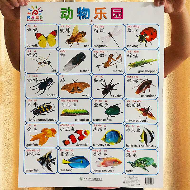 阳光宝贝挂图墙贴全套一年级幼儿园小中大班拼音拼读训练汉语拼音挂图