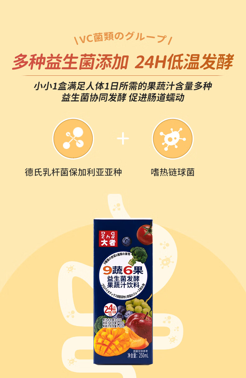 9蔬6果 原味乳酸菌 9蔬6果250ml*10盒【圖片 價格 品牌 報價】-京東