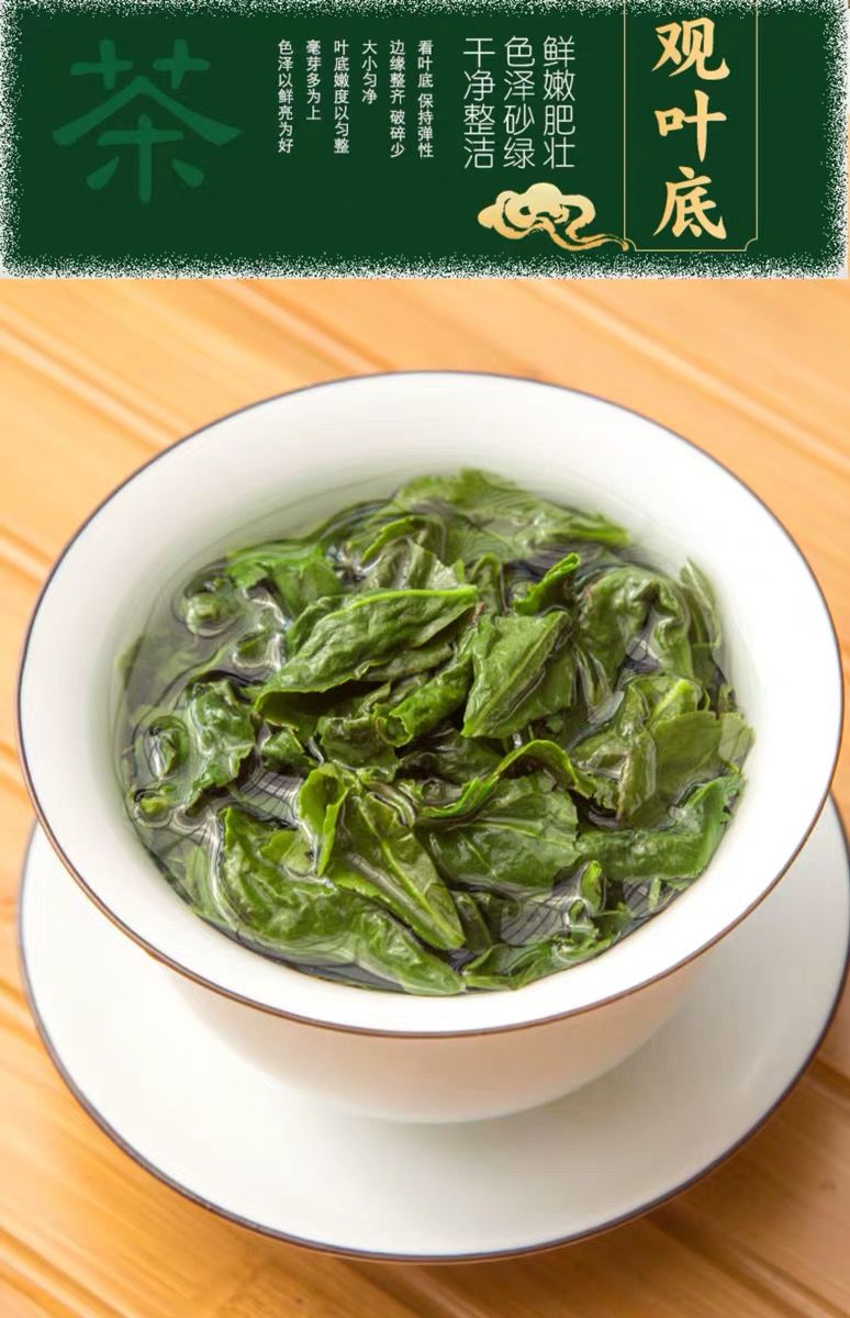 茶叶春茶2022新茶铁观音浓香型高山茶正宗500g高山浓香铁观音产地直发