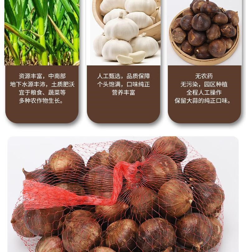 广东开平土特产 金山火蒜 独子蒜烟熏独头新鲜火焗生蒜老广张国裕 1斤