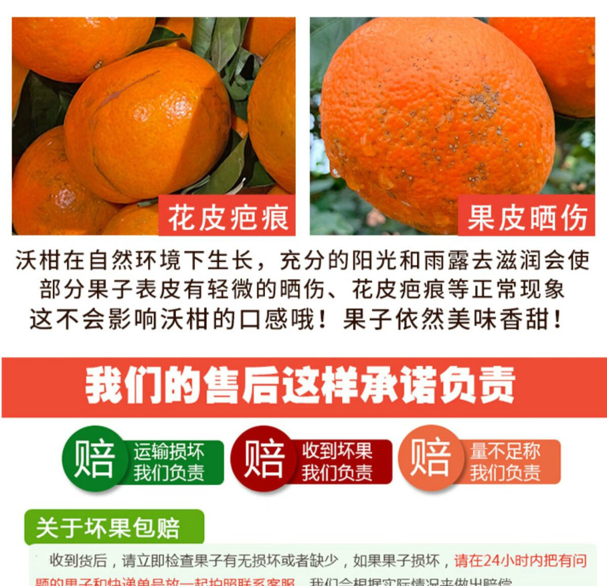 沃柑和丑橘哪個營養價值高一些呀(沃柑和丑橘哪個好吃)