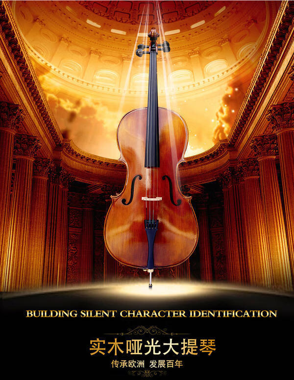 专业大提琴哑光全实木成年人儿童初学演奏单板12344全tl普及哑光大