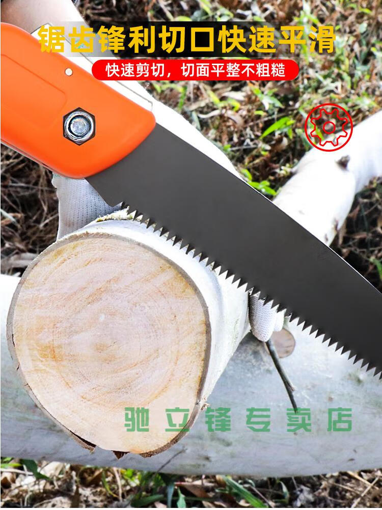 6c523fe28128159c.jpg