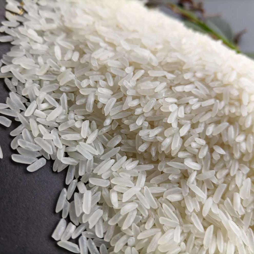 新碾农家新大米25kg泰香米长粒丝苗杂交米50斤煲仔饭健康便宜好 25kg