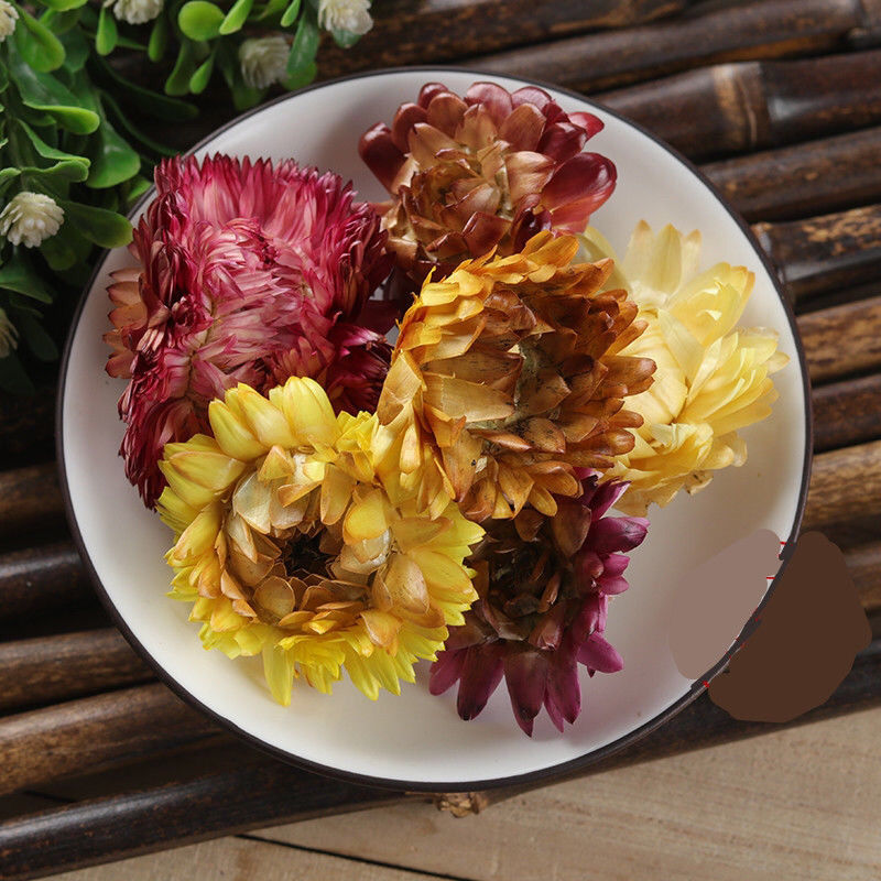 新货正宗七彩菊花茶七彩菊西藏野生七彩藏菊花茶批茶叶20g500g七彩菊