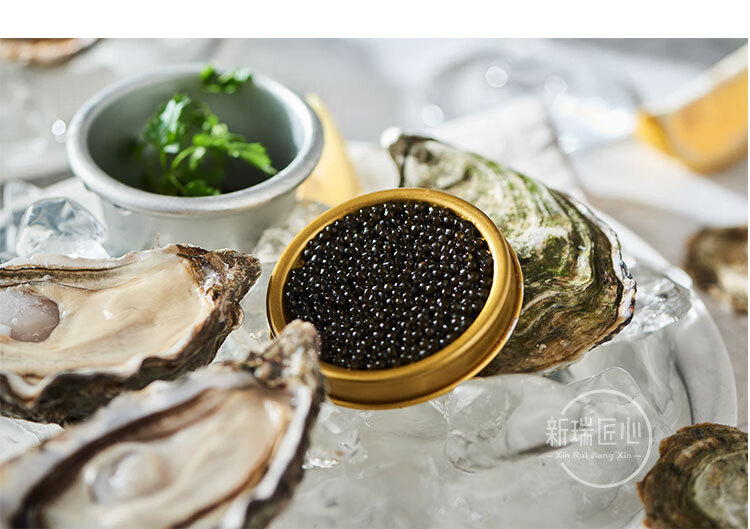 海博瑞鲟鱼鱼子酱caviar10g即食鱼籽高端生鲜水产品可搭配吉拉多