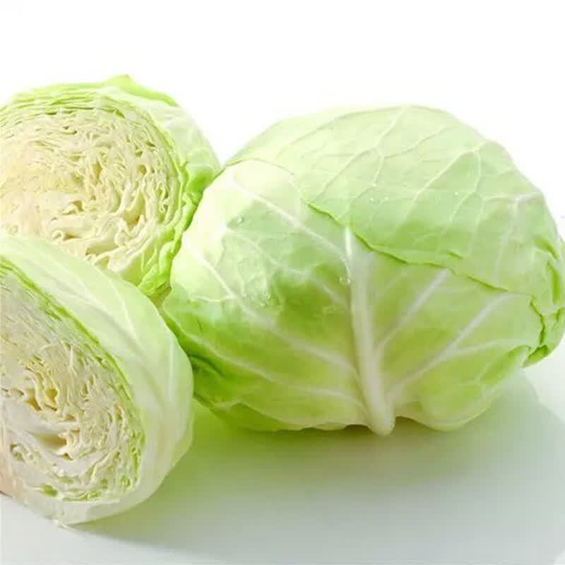 云南新鲜绿甘蓝59斤农家卷心沙拉椰菜莲花白包菜青蔬菜整箱5斤