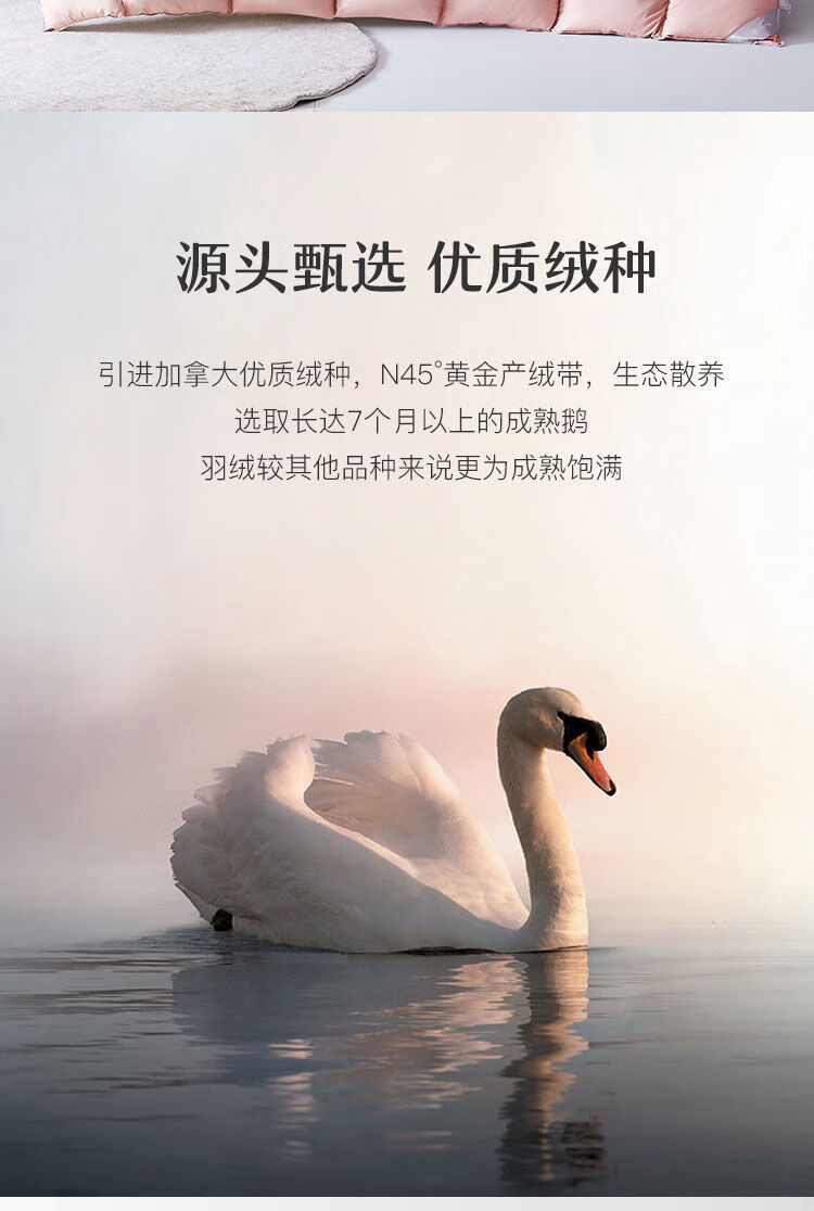 鸭绒被冬季羽绒被被白鹅绒被子冬天被加厚被芯绒被被子双人保暖的豆粉