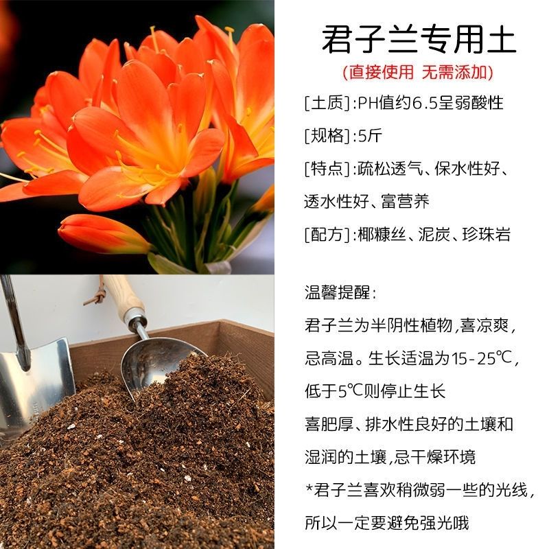 家庭盆栽兰花土的配制图片