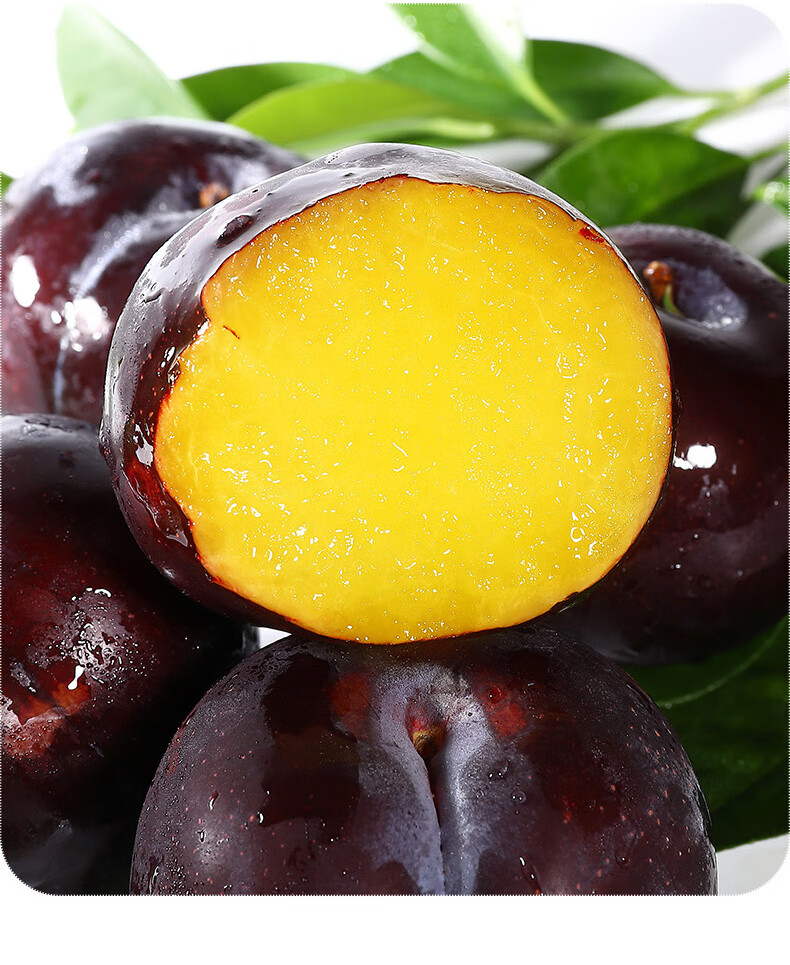 【现货】新鲜黑布林李子大果5斤装脆李黑金刚孕妇水果恐龙蛋现摘整箱