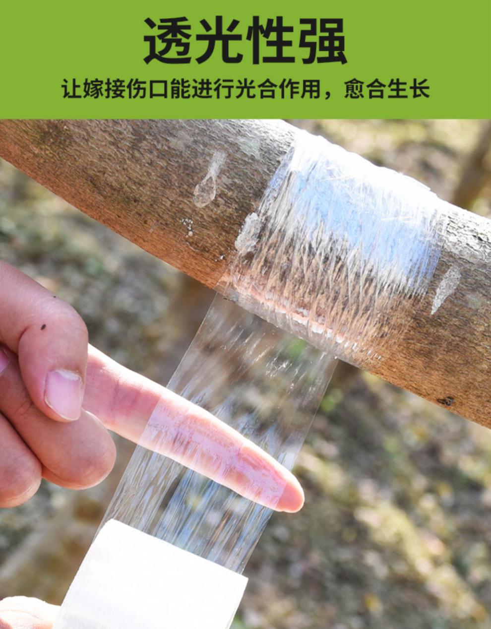 冰能 嫁接膜自粘式无需打结专用膜果树绑带包扎带缠绕膜免拆塑料pe