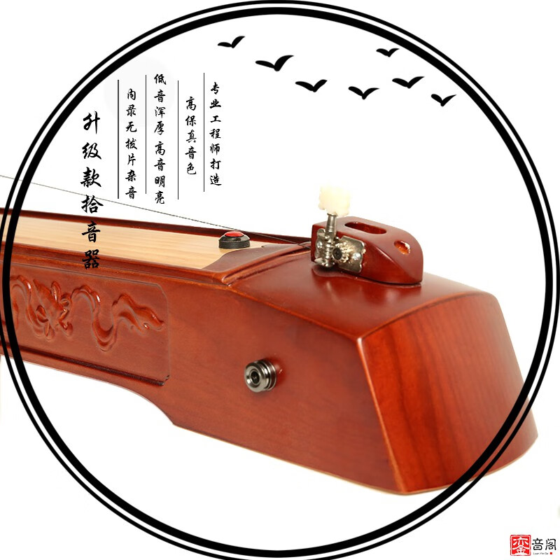 独弦琴绮音独弦琴拾音专业用高档民族乐器音乐爱好者通用型舞台原装