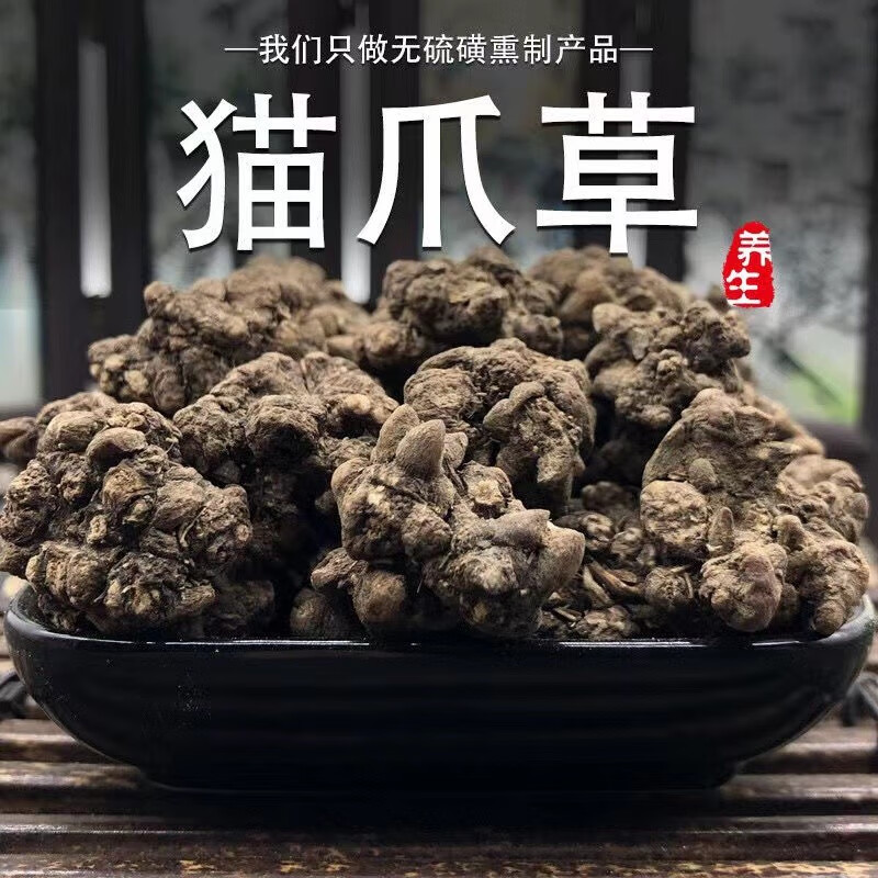 猫爪草行情图片