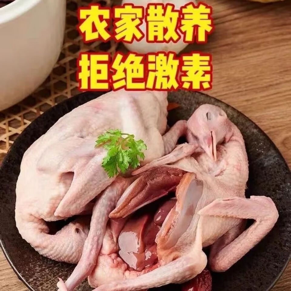 鸽子肉批发乳鸽元宝鸽现杀散养新鲜乳鸽斓维品农家乳鸽6只装超划算