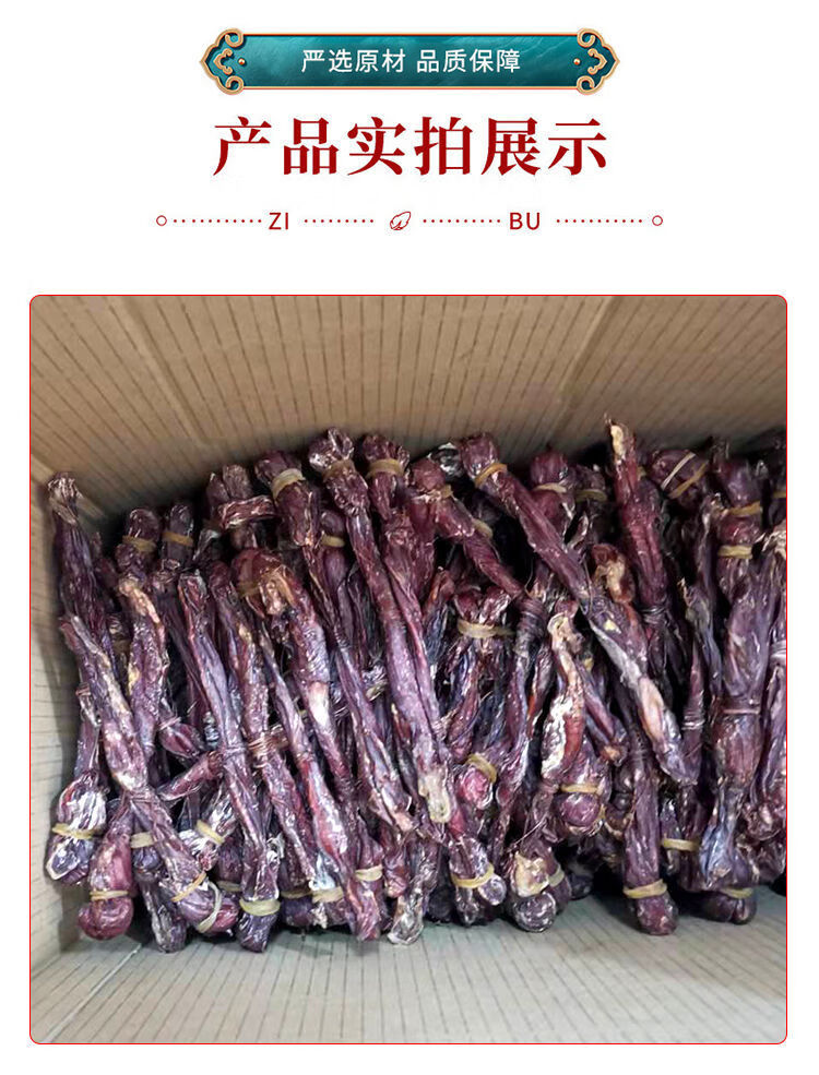 风干海狗鞭批发海狗肾中药材 20克五条*【图片 价格 品牌 报价】-京东