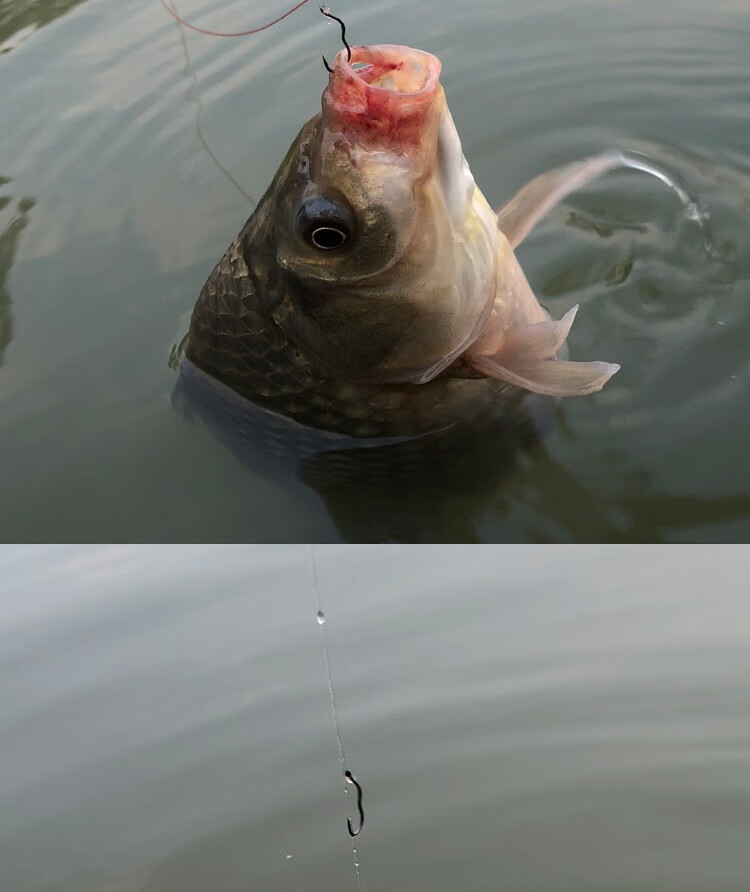 小仙郎曲柄钩神钩鱼钩自动翻转鱼钩钓鱼子线双钩倒刺新手防跑鱼台钓