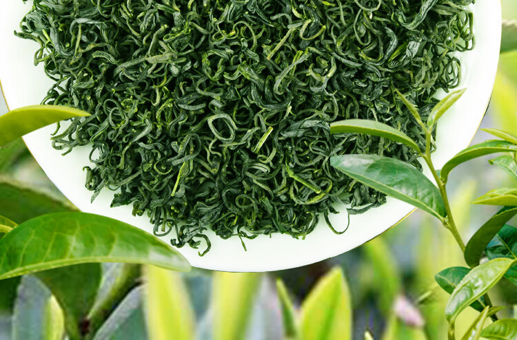 谷圈 宁夏芽茶枸杞叶茶构杞茶尖嫩芽枸杞茶芽尖茶特产芽尖枸杞芽茶牙