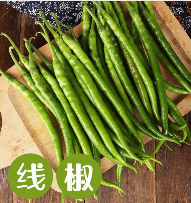 现货新鲜线椒辣椒二荆条农家青红尖椒做剁椒5斤青红