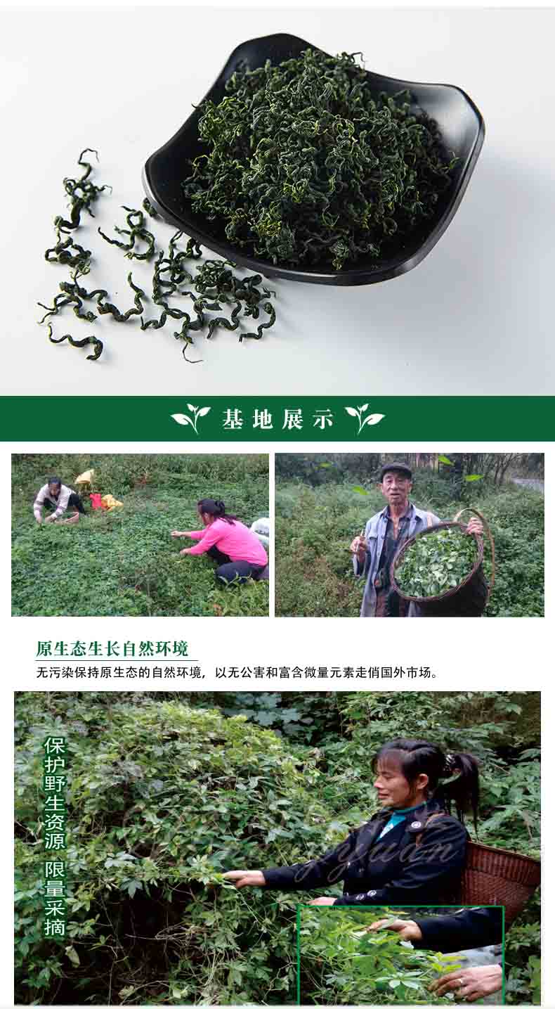 善循力绞股蓝茶250g平利绞股蓝正品精选野生七叶绞股蓝龙须茶 养身茶