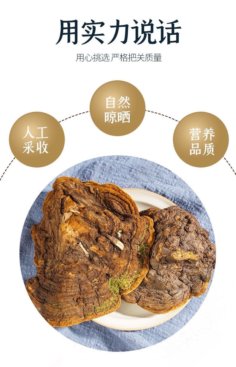 西藏桑树桑黄100克 15年帮切块【图片 价格 品牌 报价】-京东