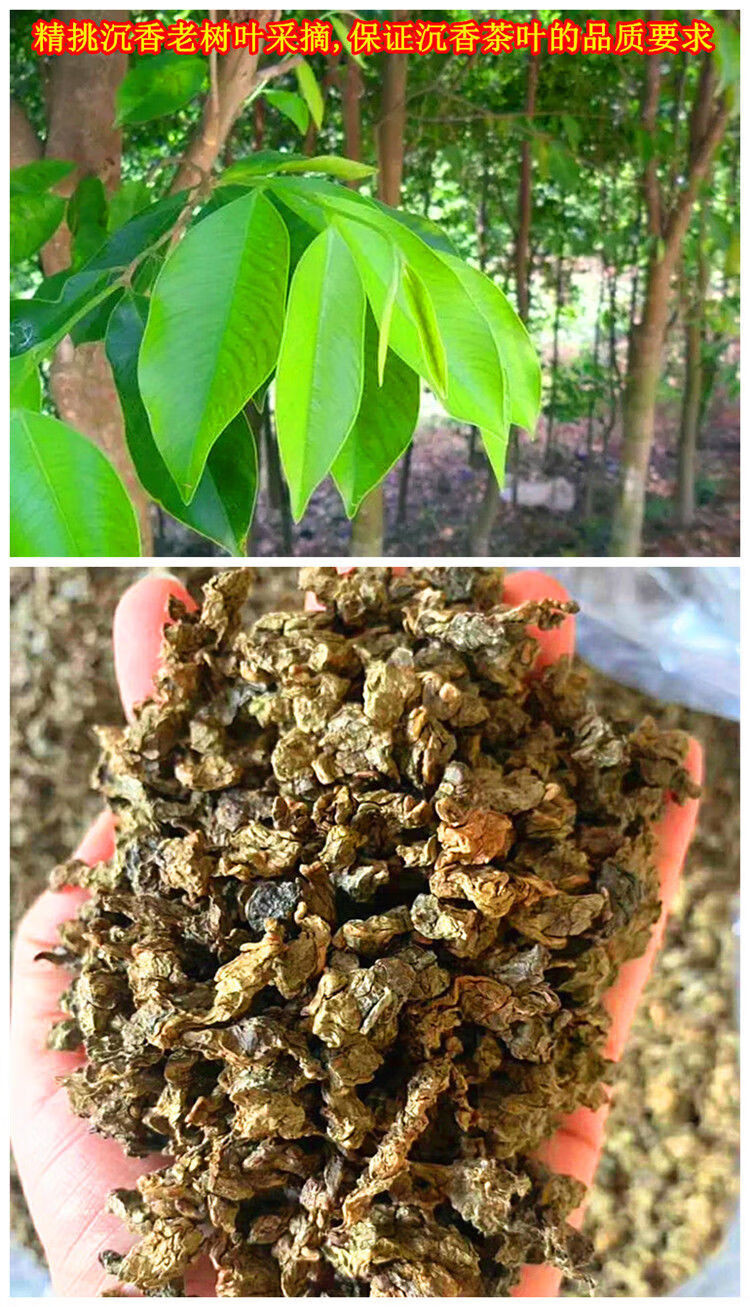正宗海南沉香茶奇楠沉香茶叶茶天然袋装茶基地直供养生茶沉香茶250克