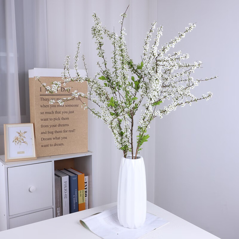 干支水插花水培雪柳干枝遇水开花鲜枝插花室内阳台办公桌观赏水生植物