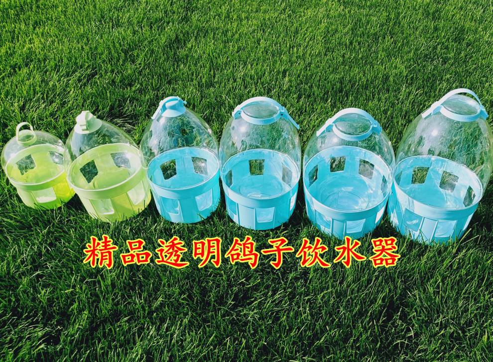 鸽子饮水器和食槽 信鸽自动饮水器陶瓷自动水壶鸽舍喂水器食槽鸽笼