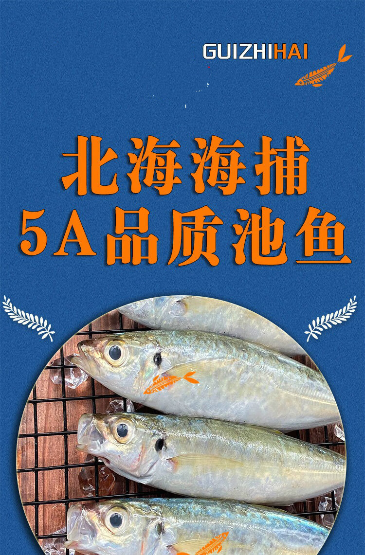 北海海捕巴浪魚開海海鮮鮮活冷凍水產池魚海魚3袋1200g精品淨重去鱗去