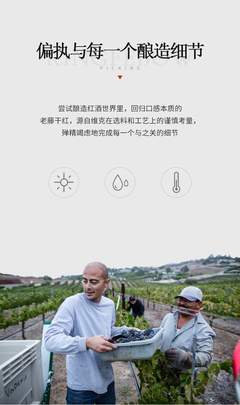 澳大利亚进口红酒帝菲堡袋鼠14度赤霞珠干红葡萄酒750ml6