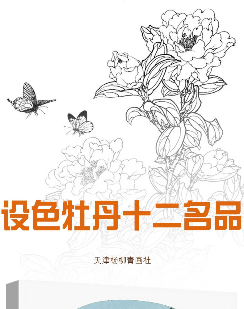 正版现货 设色牡丹十二名品实用原大白描画稿工笔花卉画国画技法李晓明天津杨柳青画社白描 摘要书评试读 京东图书