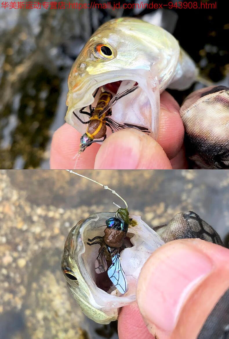 路亚饵微物迷你假饵仿生鱼饵苍蝇路亚蜜蜂飞蝇昆虫草鲤鱼马口绿豆蝇12