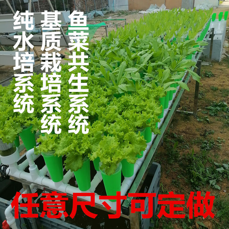 睿格達家庭魚菜共生虹吸種植設備潮汐裝置陽臺種菜樓頂無土栽培設備sn