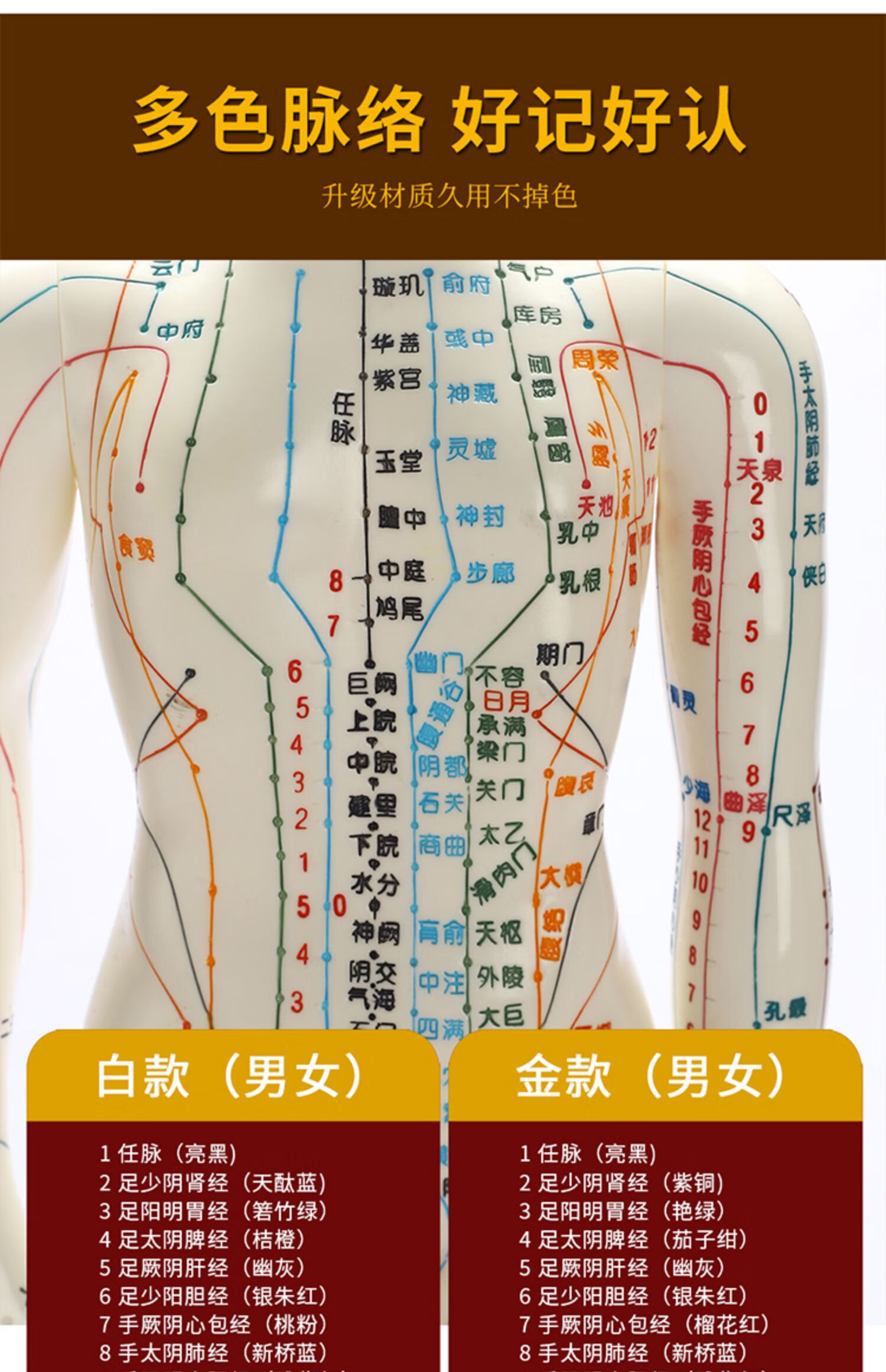 中医针灸练习人体模型人偶医学全身十二经络图扎针穴位小皮人模特 52