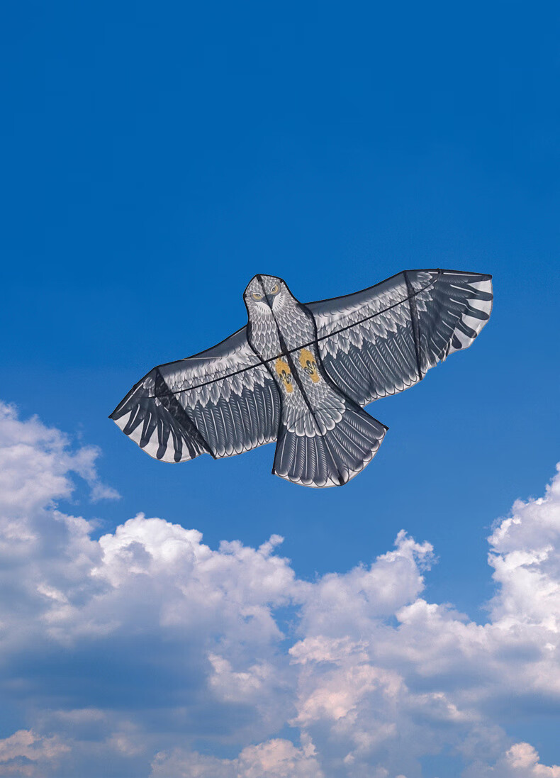 潍坊风筝2021年新款式老鹰风筝大人成人专用微风易飞大型工 1.